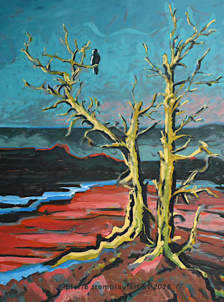 2025-A-Pause-With-a-View